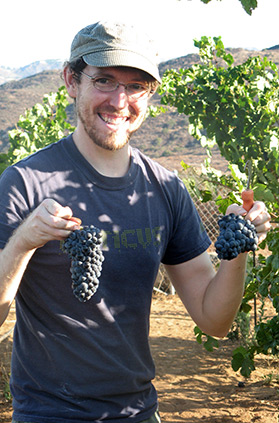 Angel Hess Picking Grapes